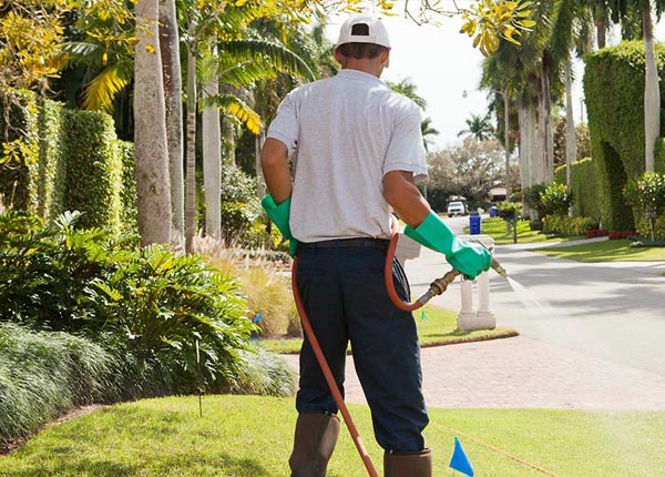 About Avoca IA Pest Control
